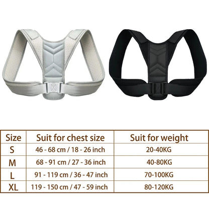 Posture Support Brace